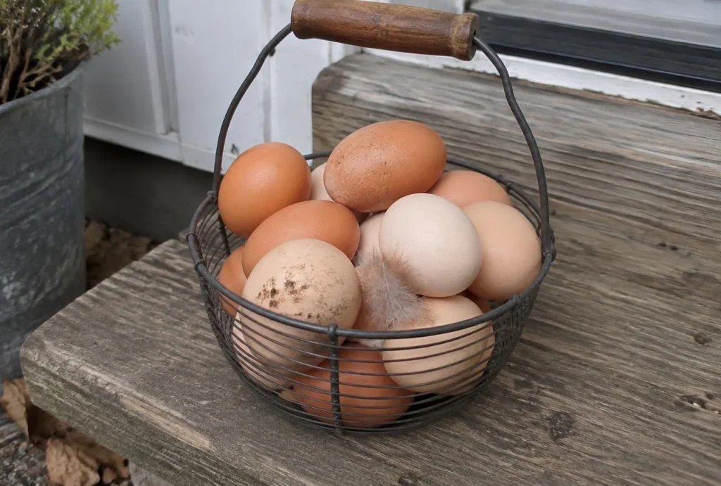 Wire basket of freshly gathered brown and cream eggs on a wooden step