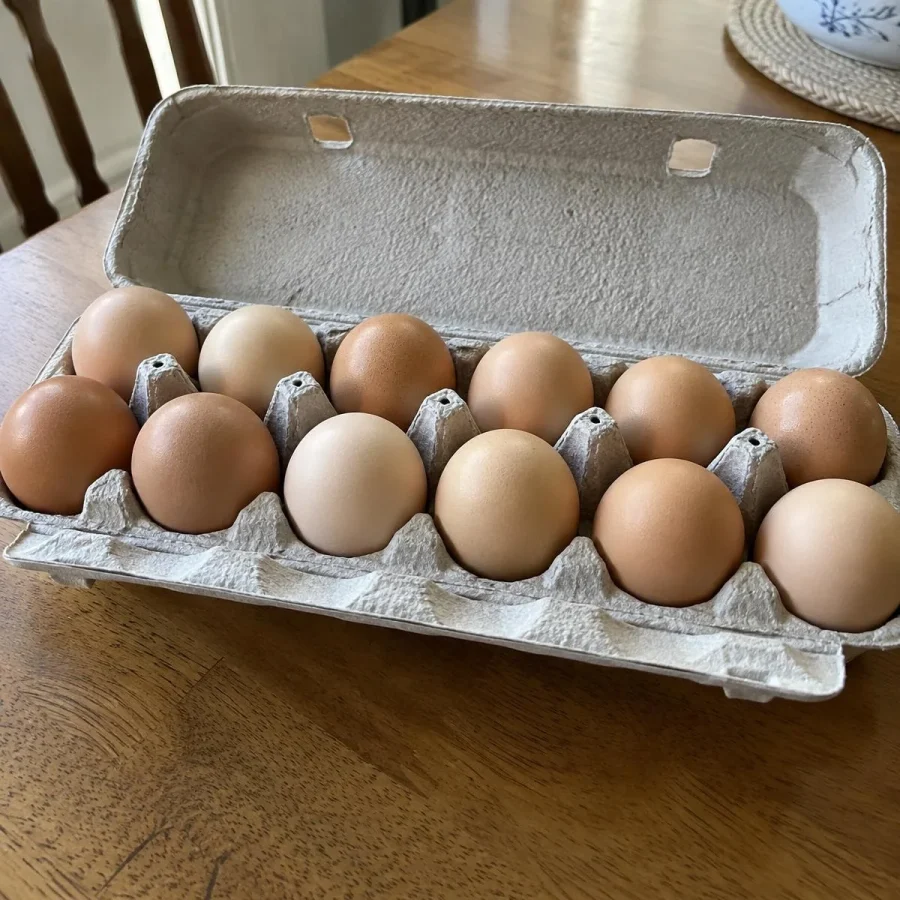 Pastured Eggs, One Dozen